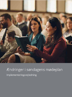 Danish---Sunday-Guide