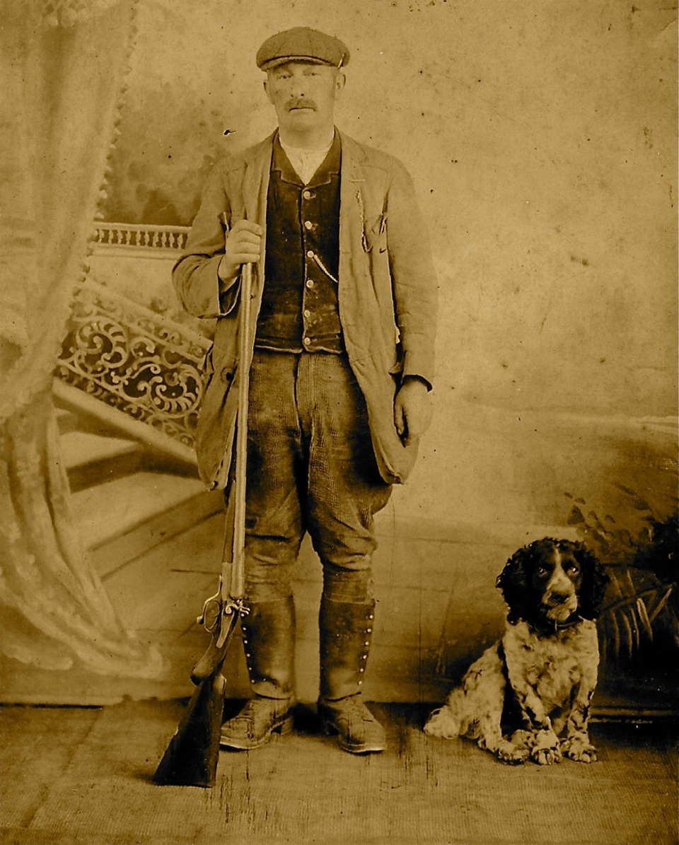 Family History English man gun dog